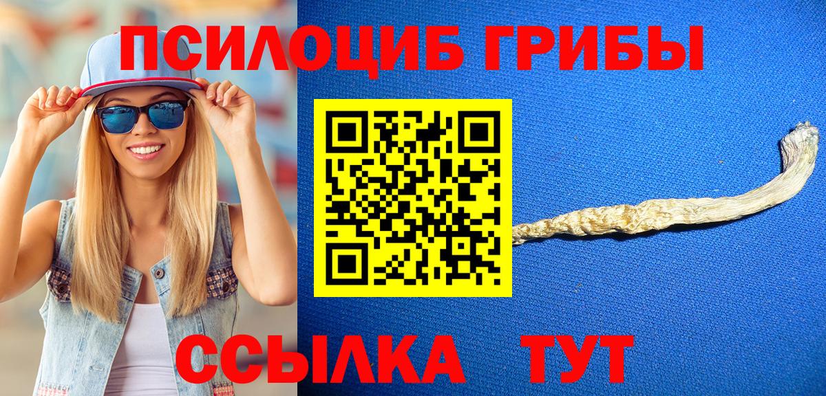 Черняховск  Галлюциногенные грибы ЛСД  Вход с VPN 